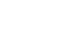 PayPal secure online payment logo