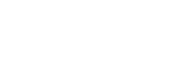 Visa accepted payment method logo